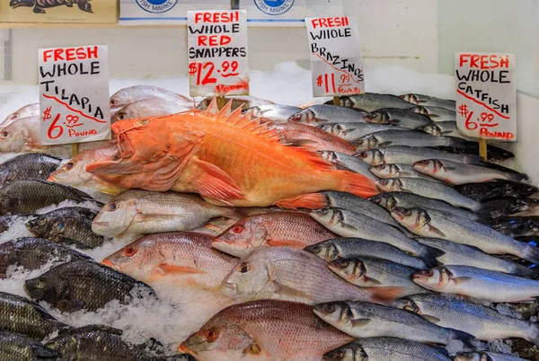 在华盛顿州西雅图的派克市场出售的新鲜鱼类 如布兰齐诺 罗非鱼 鲤鱼和冰上的鱼 — 图库照片