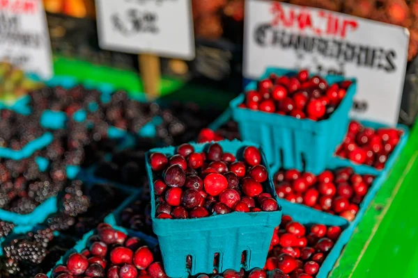 Verse Cranberries Koop Bij Een Kraam Pike Place Market Seattle — Stockfoto