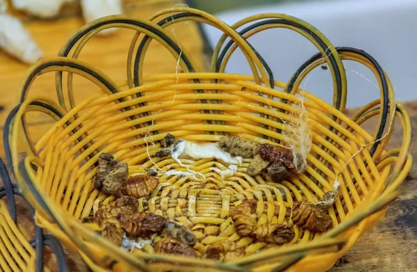 Silkworm Larva Basket Process Making Silk Thread Hand Factory Beijing — Stock Photo, Image
