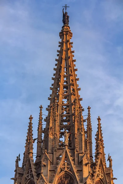 Reich Verzierte Gotische Details Des Kirchturms Der Kathedrale Des Heiligen — Stockfoto