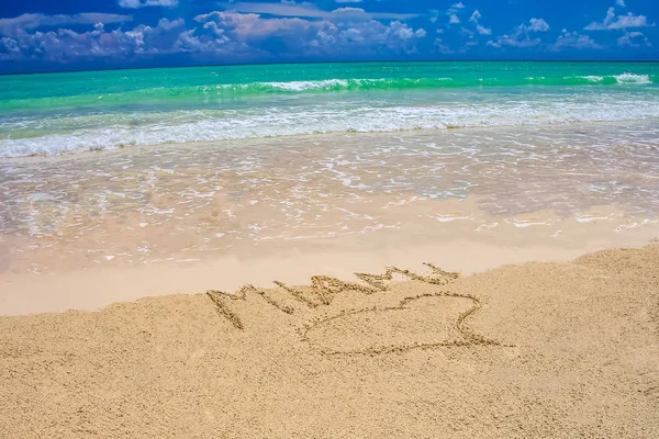 Tropischer Strand Miami Mit Strahlend Blauem Himmel Türkisfarbenem Wasser Und — Stockfoto
