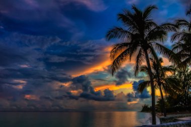 derin blues ve ön planda bir palmiye ağacı ile Bahamalar bir günbatımı turuncu
