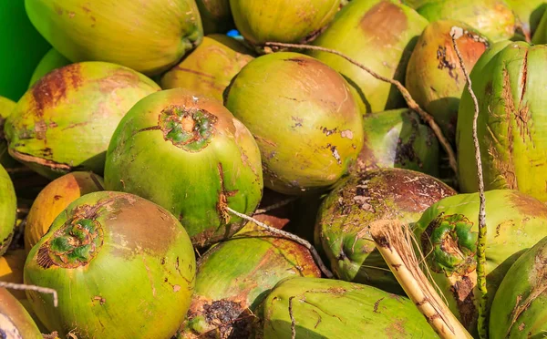 Montón Cocos Maduros Verdes Frescos Listos Para Ser Agrietados Para —  Fotos de Stock