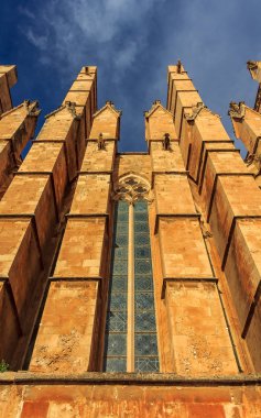 Gargoyles Katedrali, Santa Maria ve Palma (Cathedral St. Mary Palma) veya La Seu, Palma de Mallorca Balear Adaları İspanya Mallorca'da bir Gotik Roman Katolik Katedrali ile cephe detayları
