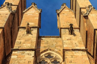 Gargoyles Katedrali, Santa Maria ve Palma (Cathedral St. Mary Palma) veya La Seu, Palma de Mallorca Balear Adaları İspanya Mallorca'da bir Gotik Roman Katolik Katedrali ile cephe detayları