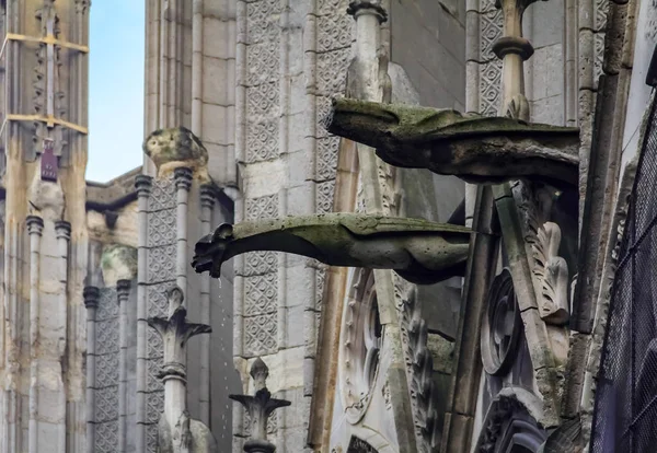 Gotik gargoyles kaplı moss ünlü Notre Dame de Paris Katedrali Paris cephesinde de Fransa ile yağmur damla onların ağzından düşen