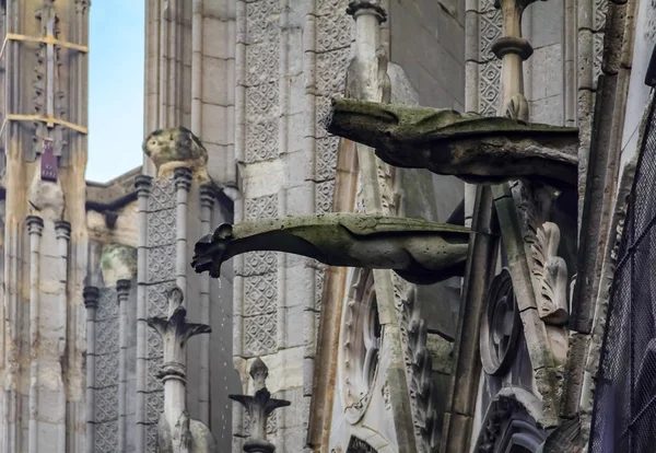 Gothic gargoyles covered in moss on the facade of the famous Notre Dame de Paris Cathedral in Paris France with rain drops falling from their mouth