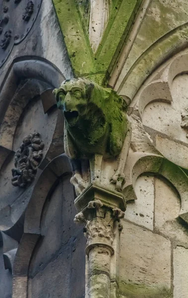 Gothic gargoyles covered in moss on the facade of the famous Notre Dame de Paris Cathedral in Paris France
