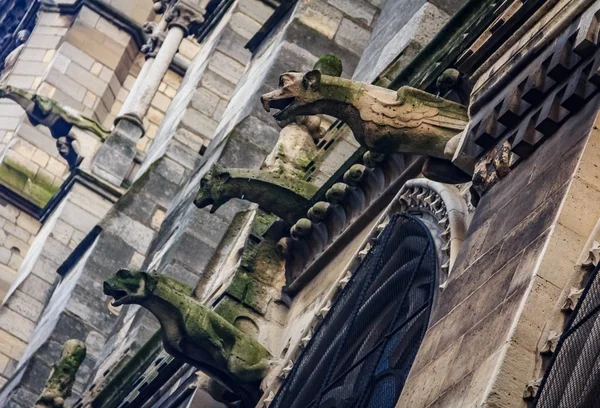 Gothic gargoyles covered in moss on the facade of the famous Notre Dame de Paris Cathedral in Paris France with rain drops falling from their mouth
