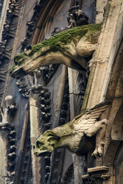 Gotik gargoyles kaplı moss ünlü Notre Dame de Paris Katedrali Paris cephesinde, Fransa