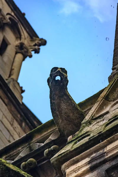 Gothic gargoyles covered in moss on the facade of the famous Notre Dame de Paris Cathedral in Paris France with rain drops falling down