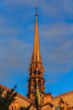 Notre Dame de Paris Katedrali günbatımı sıcak ışığıyla renkli Güney tarafındaki görüntülendi süslü Gotik spire ayrıntılarını