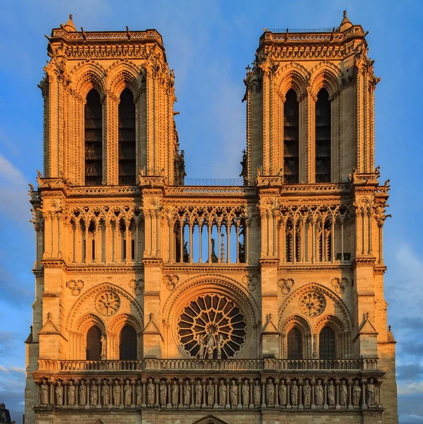 Details Southern Facade Notre Dame Paris Cathedral Facade Oldest Rose — Stock Photo, Image