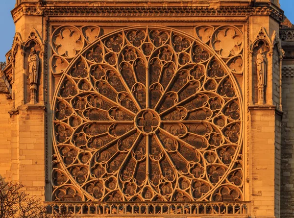 Details of the southern facade of Notre Dame de Paris Cathedral facade with the rose window and ornate tracery colored by the warm light of sunset