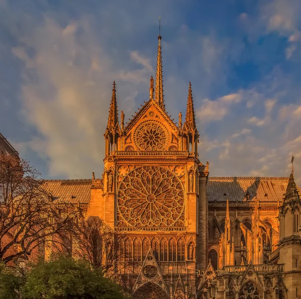 Details of the southern facade of Notre Dame de Paris Cathedral facade with the rose window and ornate spires colored by the warm light of sunset