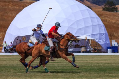 Binicilik üzerinde yüksek hızda polo topu sonra Polo oyuncular
