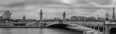 Pont Alexandre III Köprüsü, Seine Nehri ve Eyfel Kulesi Paris, Fransa'da Moody panoramik cityscape siyah beyaz