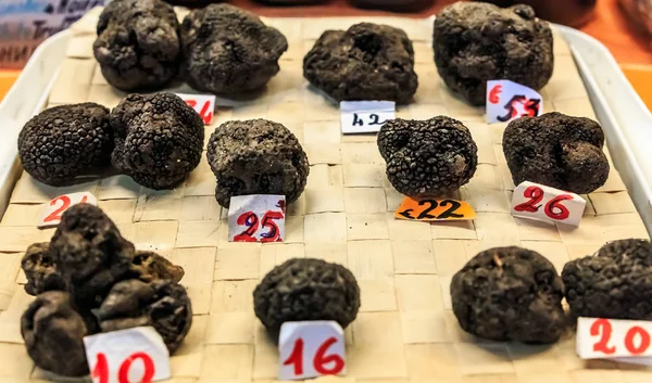 Selección de Trufas Negras jalá melanosporum en exhibición en un puesto de mercado en Ventimiglia, Umbría Italia — Foto de Stock