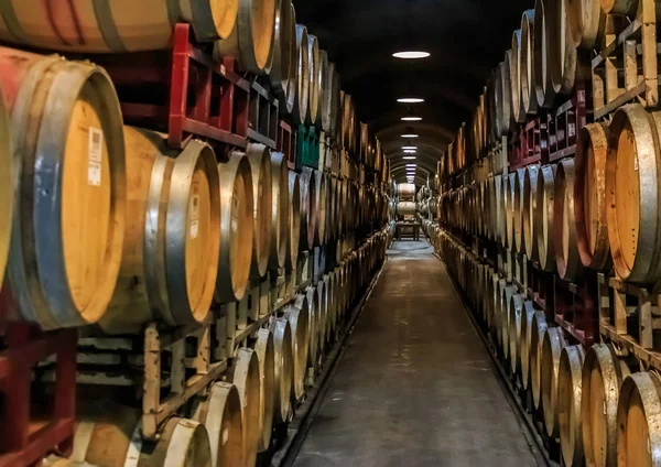 アメリカ ソノマのワイナリーで古いセラーに積み上げられたワインの樽 — ストック写真