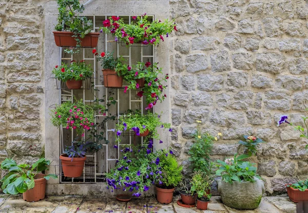 Malownicza kamienna ściana na ulicach zachowanego średniowiecznego Starego miasta z kolorowymi kwiatami doniczkami w Budva, Czarnogóra — Zdjęcie stockowe