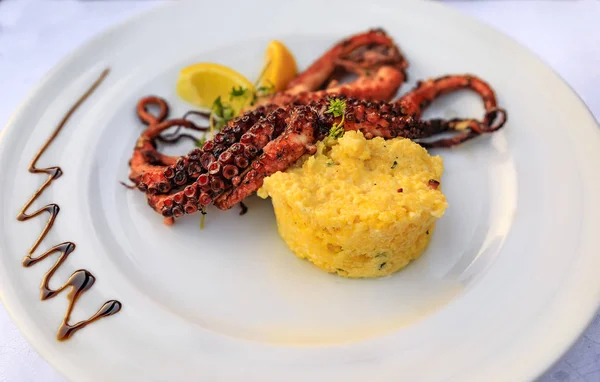 Plate of grilled octopus and polenta, decorated with balsamic vinegar and fresh herbs at a restaurant in Montenegro — Stock Photo, Image
