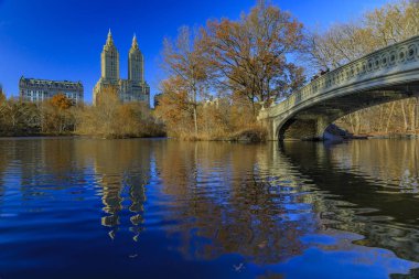 Central Park 'taki Bow Köprüsü, New York sonbaharda arka planda Manhattan binaları ve ön planda düşen yapraklar