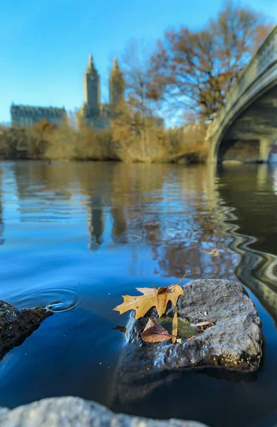 Bow Bridge in Central Park, New York in fall with Manhattan buildings in background and fallen leaves in the foreground — Stock Photo, Image