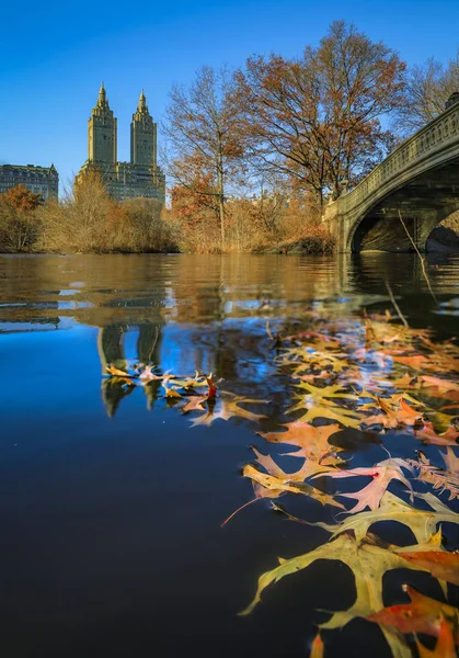 Bow Bridge in Central Park, New York in fall with Manhattan buildings in background and fallen leaves in the foreground — Stock Photo, Image