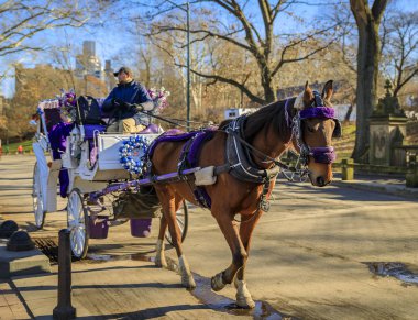 Süslü dekore at turistler, Central Park New York, arka planda Manhattan binaları ile araba çizilmiş