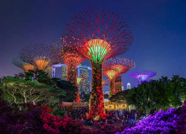 Garden Rhapsody, kleurrijke lichtshow in de Supertree Grove Gardens by the Bay in Singapore, populaire toeristische attractie — Stockfoto