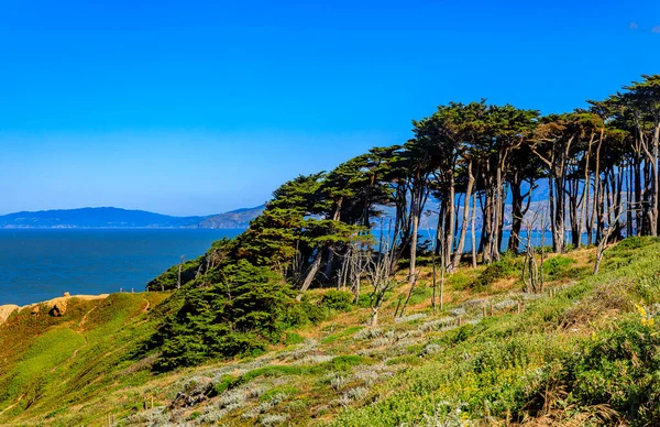 Lands End Park Sutro Banhos Ruínas Falésias Com Ciprestes Pacíficos — Fotografia de Stock