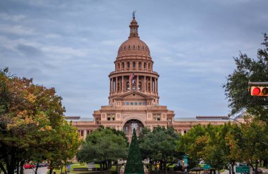 Austin, TX 'teki Teksas Eyalet Meclisi binasının önündeki bir Noel ağacı.