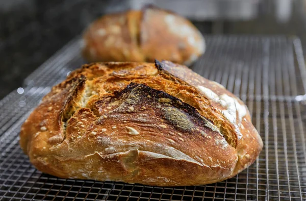 Close Freshly Baked Loaf Artisanal Whole Wheat Dark Rye Rustic — Stock Photo, Image