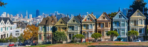 Panorama San Francisco Cityscape Painted Ladies Victorian Hands See Alamo — стокове фото