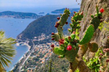 Fransız Rivierası 'ndaki Eze köyünün tepesinden Akdeniz kıyı şeridi ve ortaçağ evlerinin manzarası