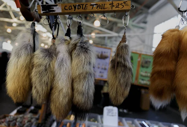 Native American Indian Dance Regalia Real Coyote Fox Fur Tails — Stock Photo, Image