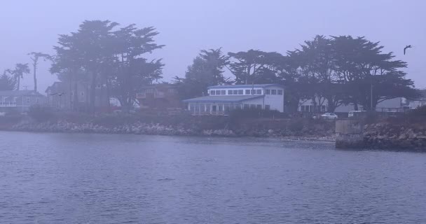 Niebla sobre el Océano Pacífico en Half Moon Bay por San Francisco, costa apenas visible — Vídeos de Stock