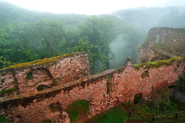 ドイツのハルツ ノイシュタットの Burg Hohnstein 遺跡します — ストック写真