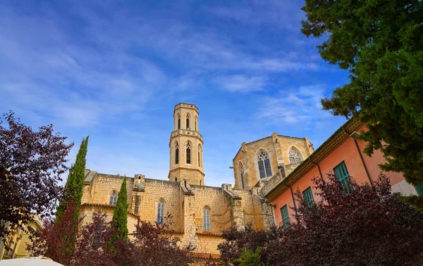 Figueres Katedrális San Pere Spanyolország Katalónia — Stock Fotó