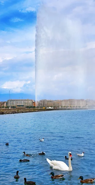 Genfer See Wasser Jet Eau — Stockfoto