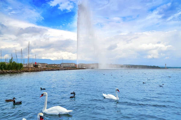 Geneva Geneve Lake Water Jet Eau Switzerland Swiss Leman — Stock Photo, Image
