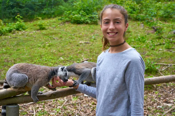 Kind Mädchen Hat Spaß Mit Ringschwanzmaki Tier Freien — Stockfoto