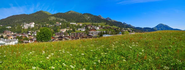 Leysin Alpes Ormont Dessus Suíça Swiss — Fotografia de Stock