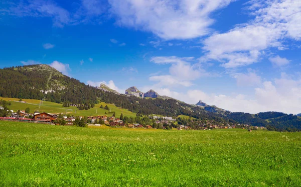 Leysin Alpách Ormont Dessus Švýcarsku Swiss — Stock fotografie