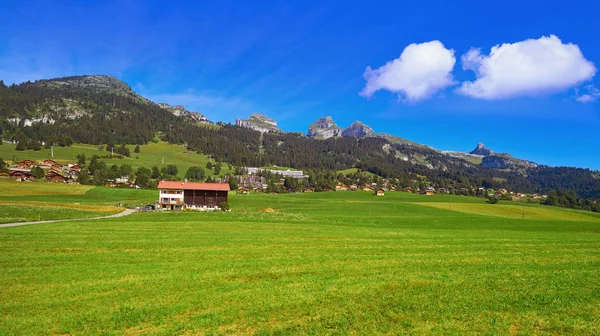 Leysin Alpách Ormont Dessus Švýcarsku Swiss — Stock fotografie