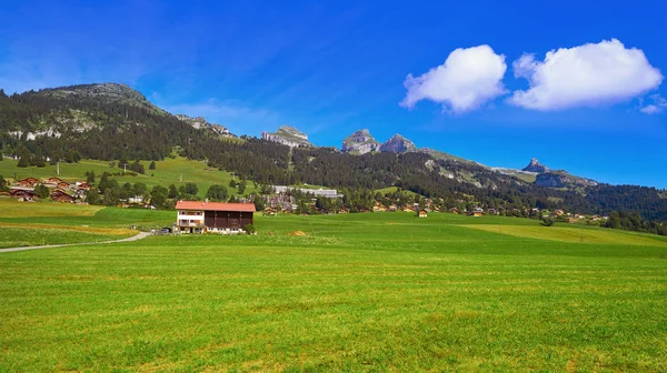 Leysin Los Alpes Ormont Dessus Suiza Suiza — Foto de Stock