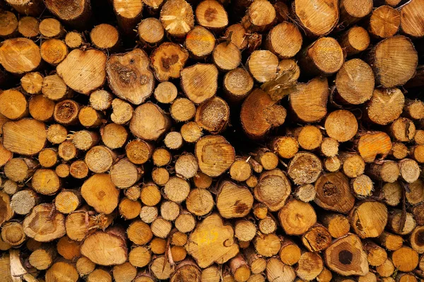 木原木木材堆积在德国的哈茨山 — 图库照片