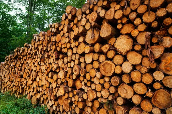 Wooden Logs Timber Stacked Harz Mountains Germany — Stock Photo, Image
