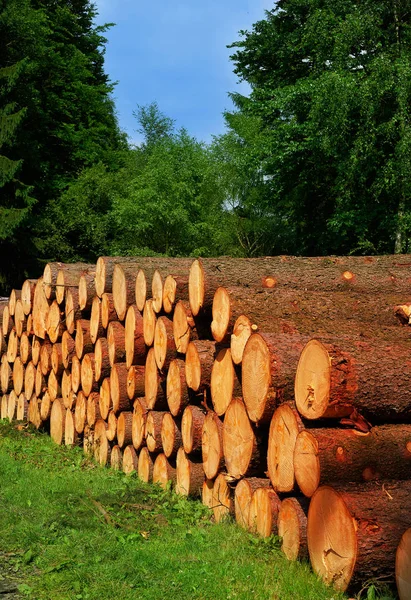 木原木木材堆积在德国的哈茨山 — 图库照片