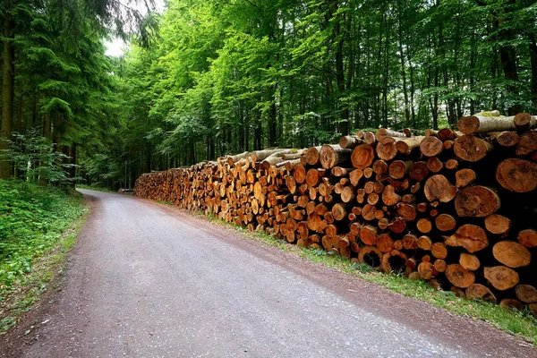 Tronchi Legno Impilati Harz Montagne Della Germania — Foto Stock